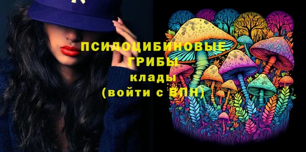PSILOCYBIN Балахна