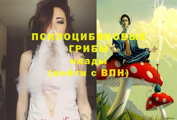 PSILOCYBIN Балахна