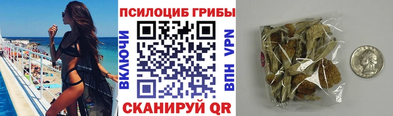 Псилоцибиновые грибы MAGIC MUSHROOMS  купить   гидра зеркало  Вятские Поляны 